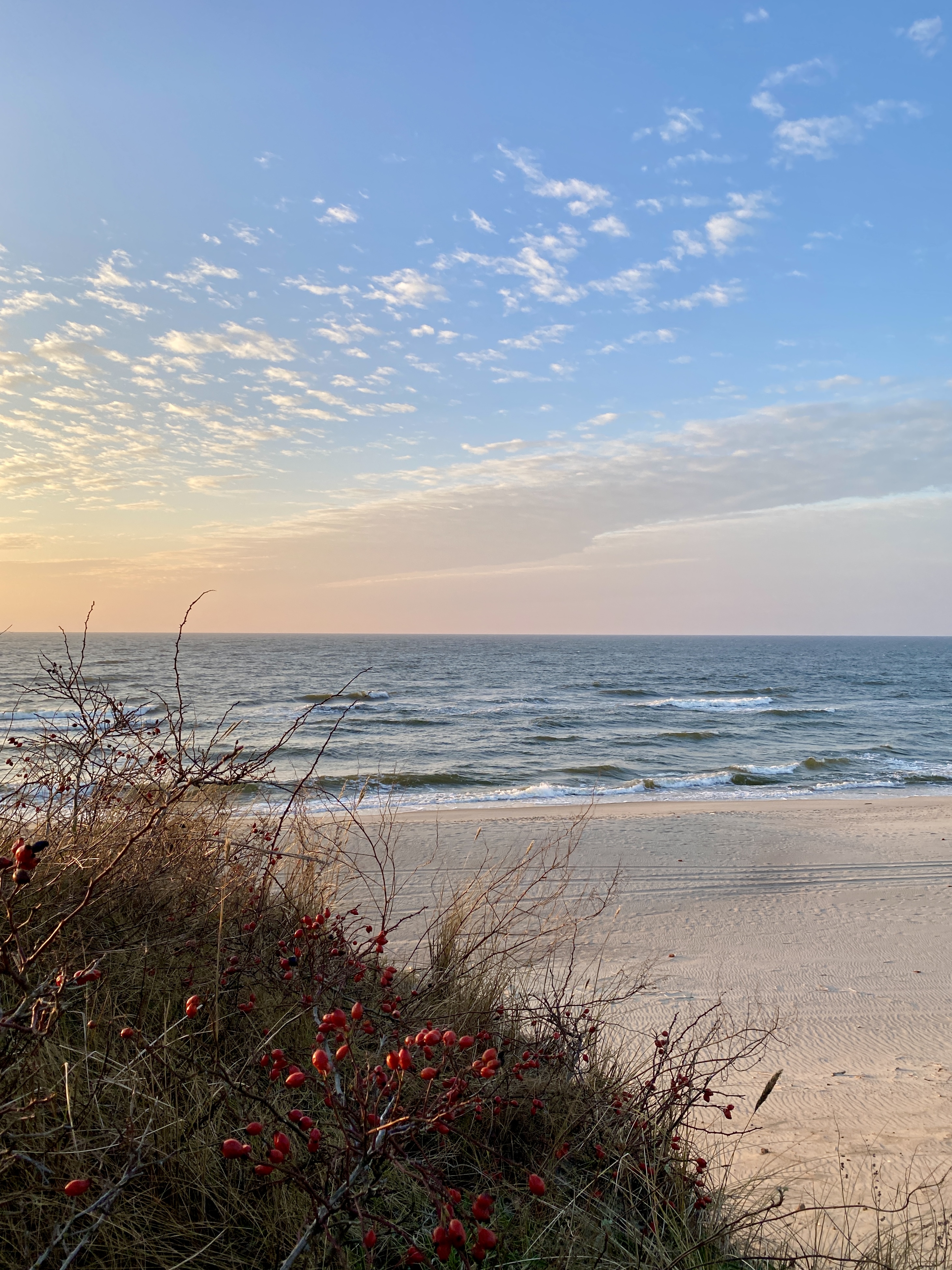 Фото Викингуд Глэмпинг
