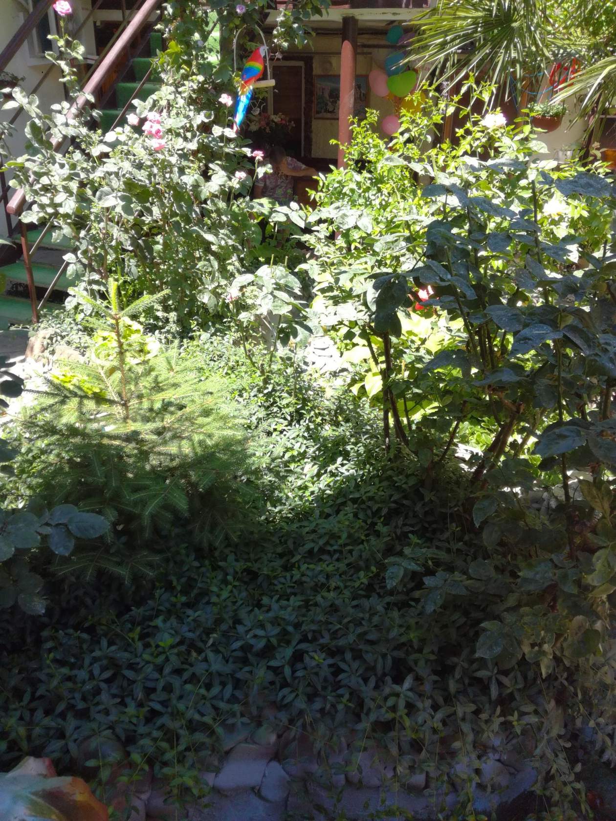 Фото Гостевой дом Вишневских