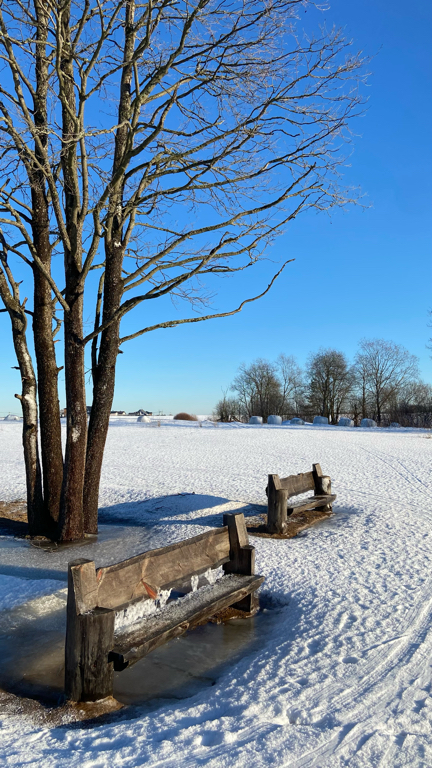 Фото Klever House Хиттолоярви