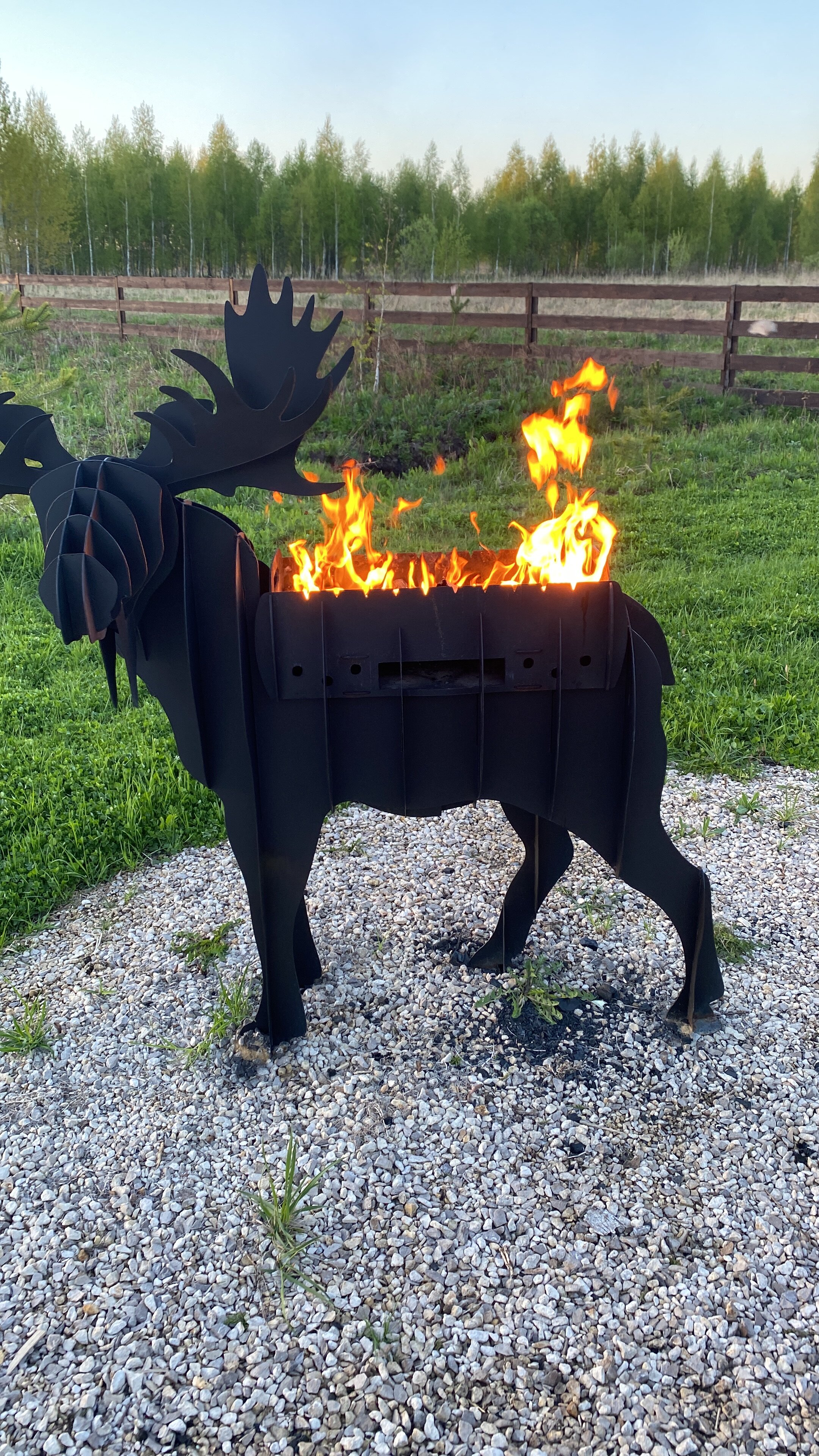 Фото Лес и небо