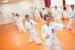 Itf Taekwondo Federation of Yaroslavl region (selo Sarafonovo, 56), sports club