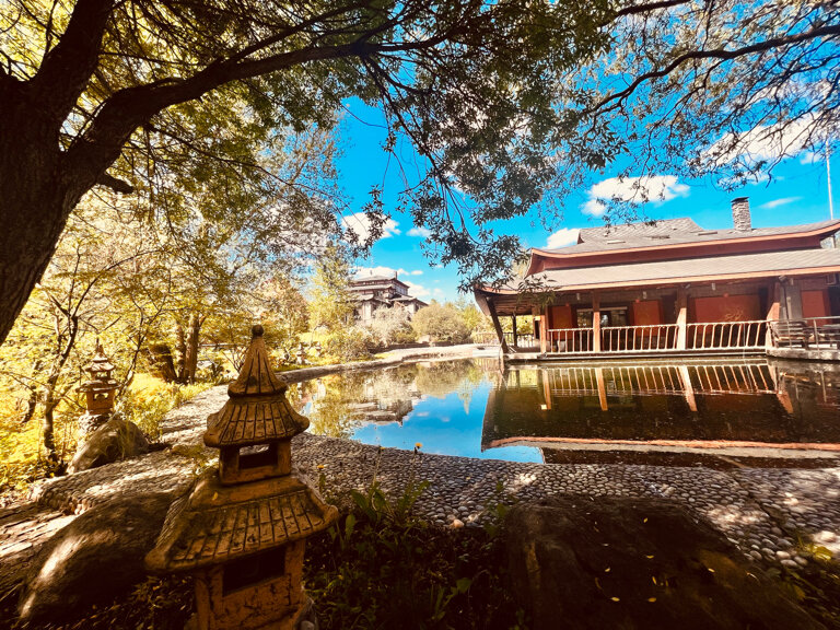 Фото Чайна Таун