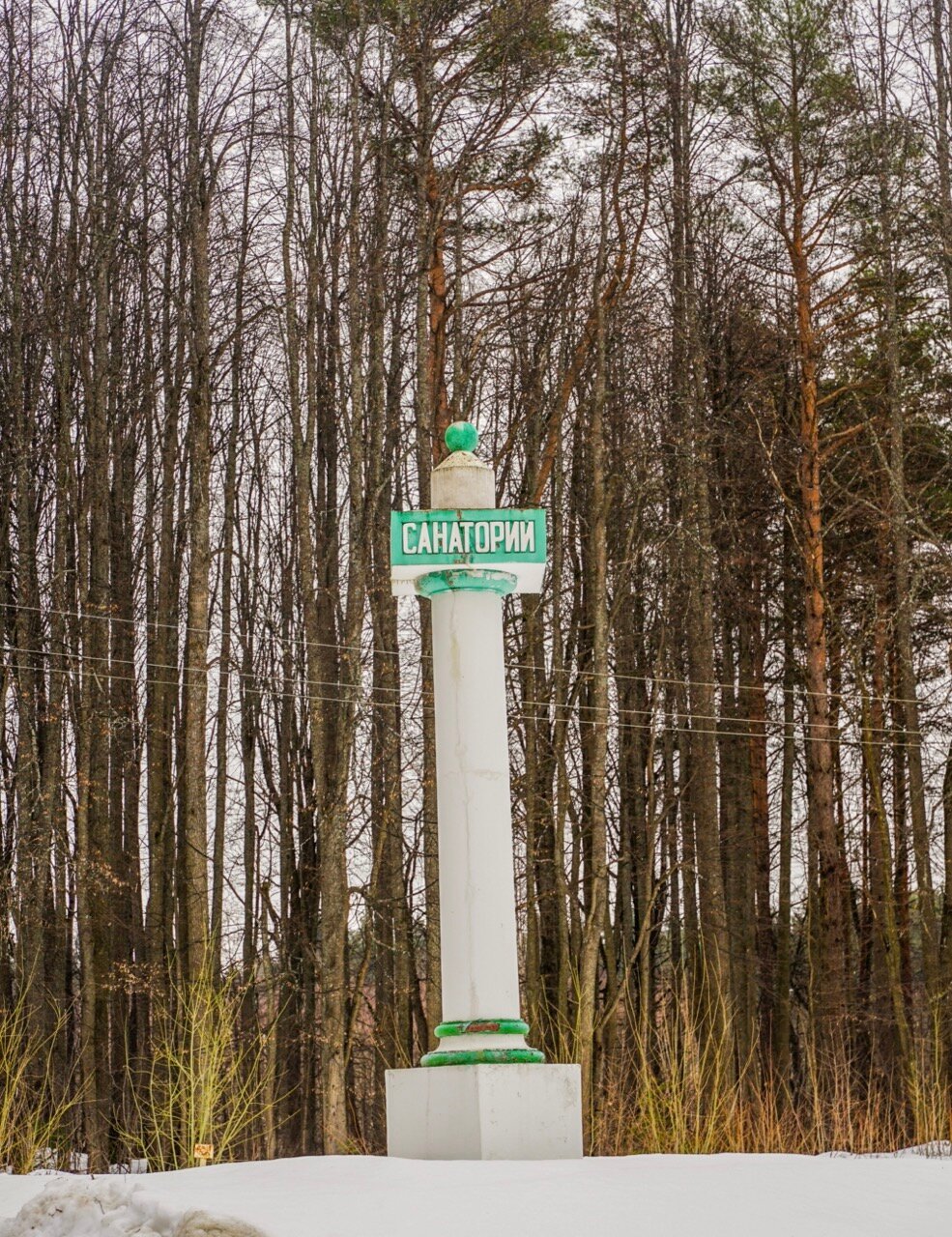 Фото Санаторий Митино