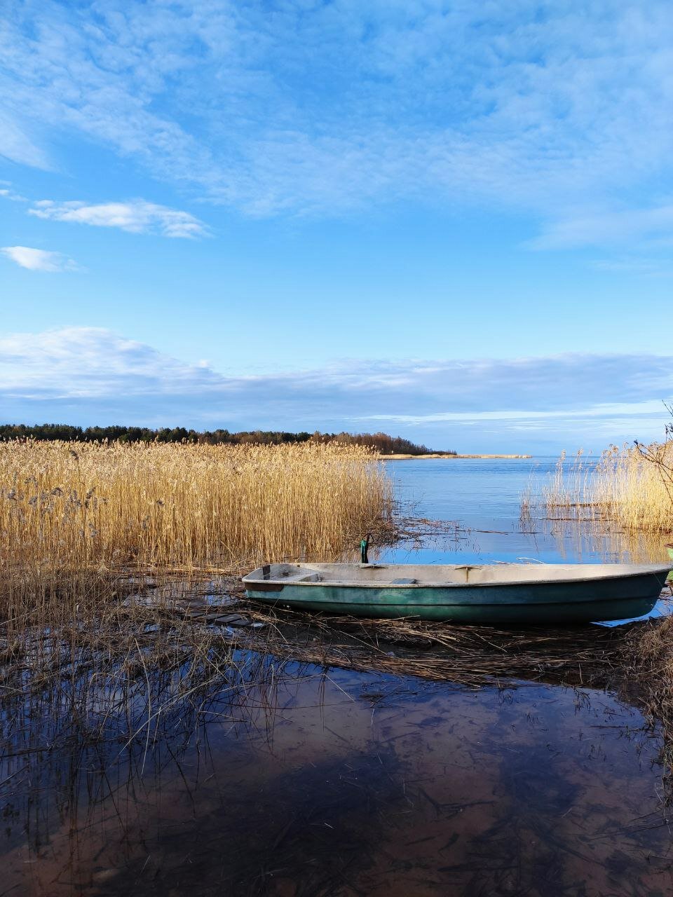 Фото Золотой берег