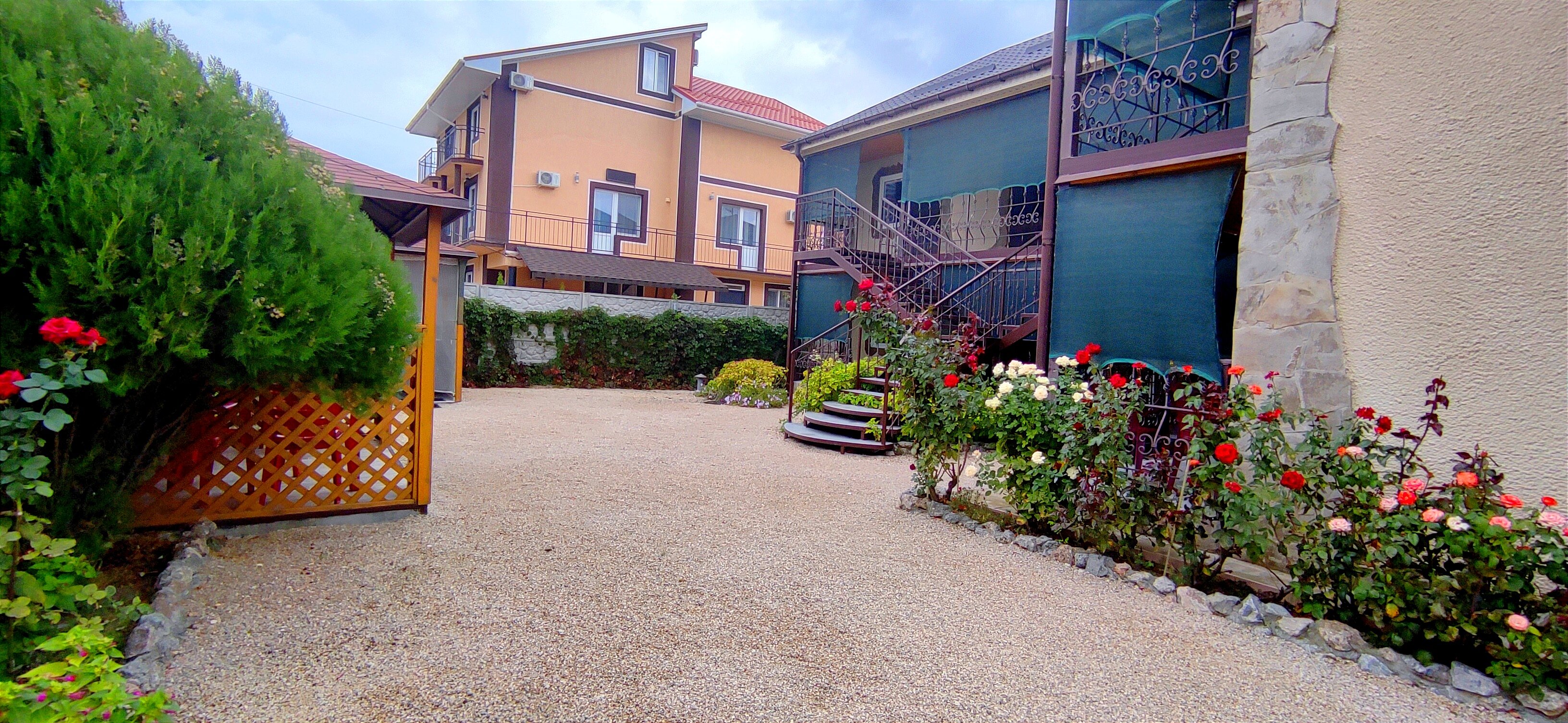 Фото Белый парус