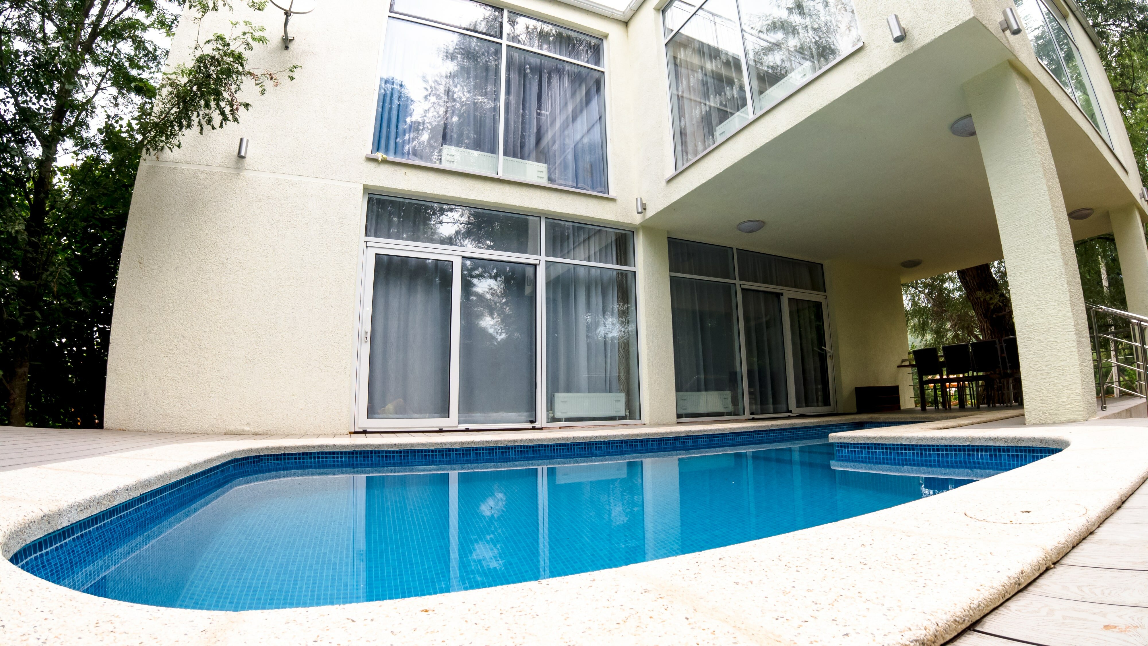 Фото Светлячок