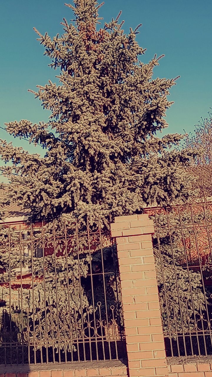 Фото Радуга