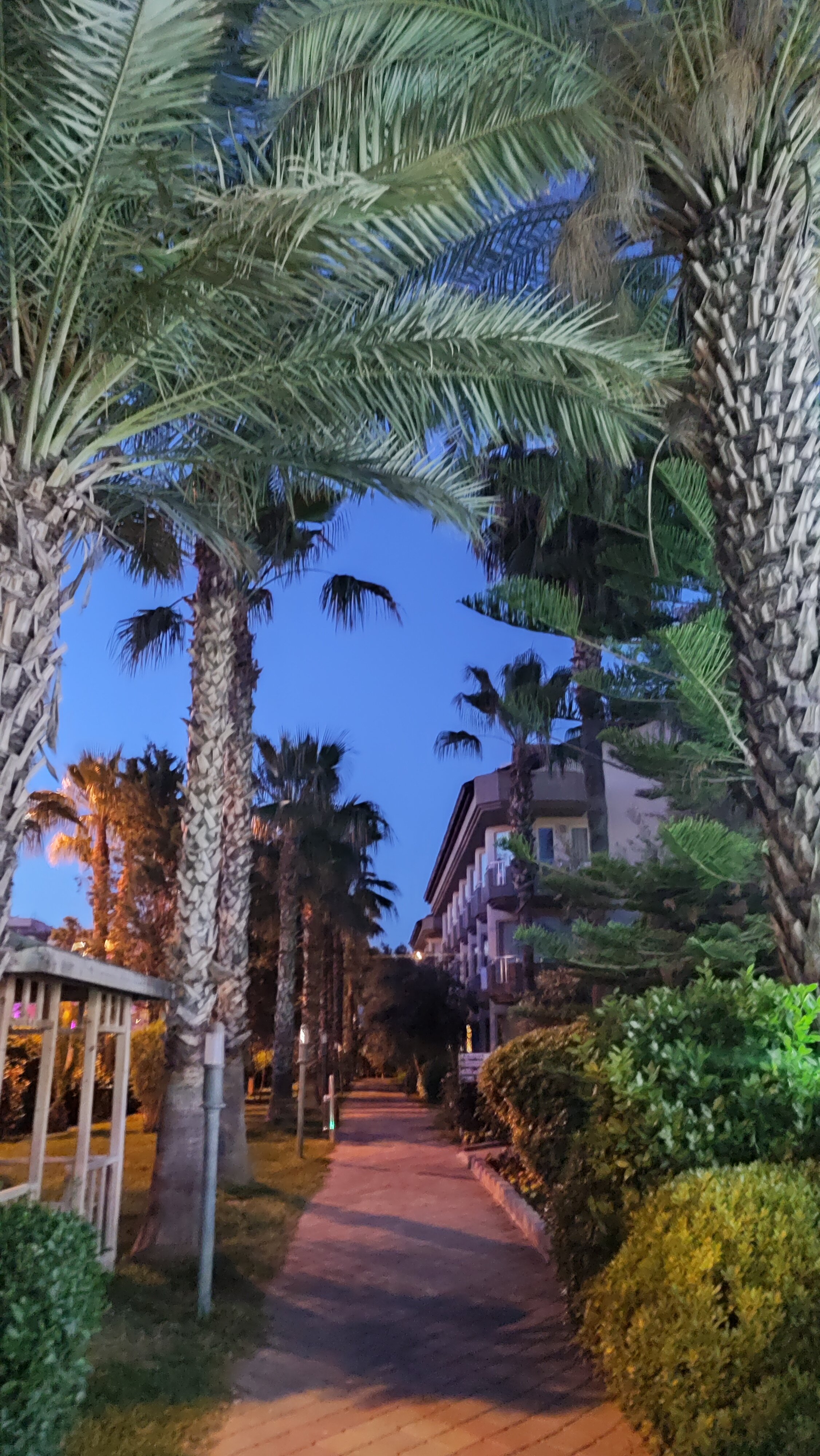 Фото Orfeus Park Hotel