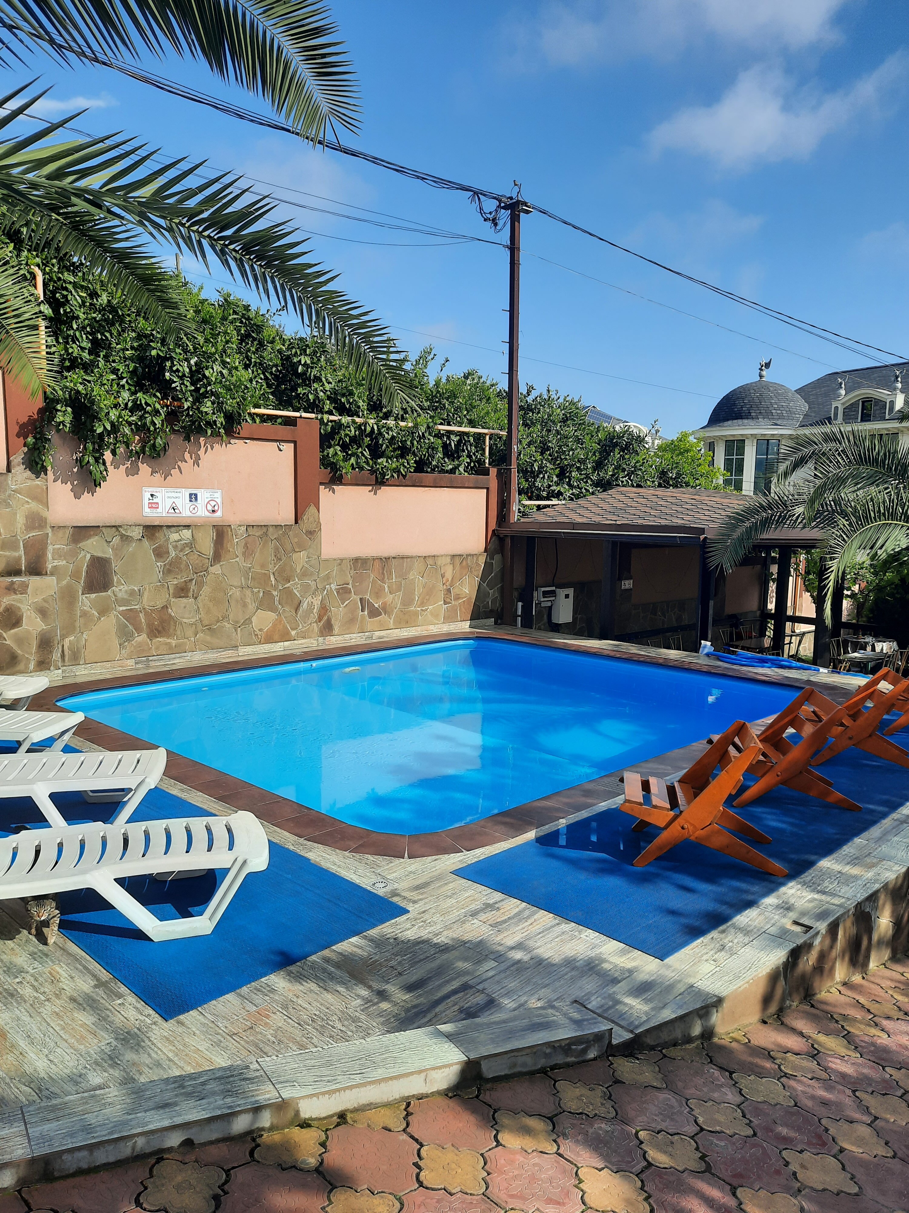 Фото Корона