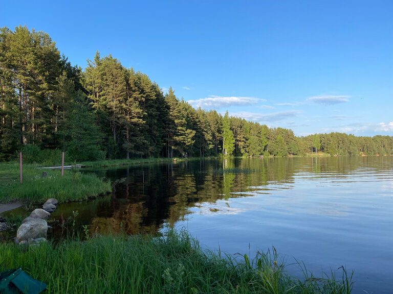Фото Коттеджи в сосновом бору