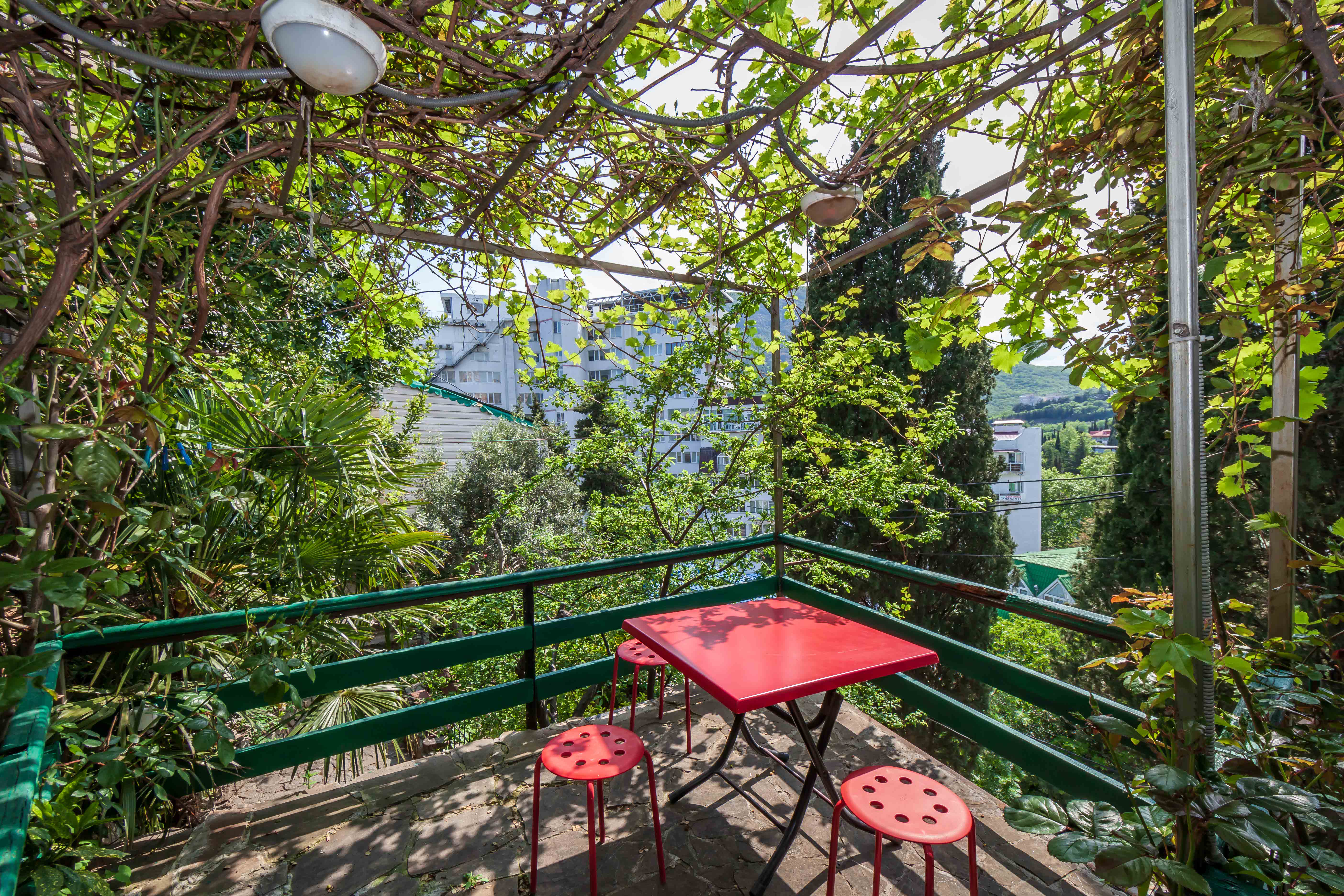 Фото Ласточка