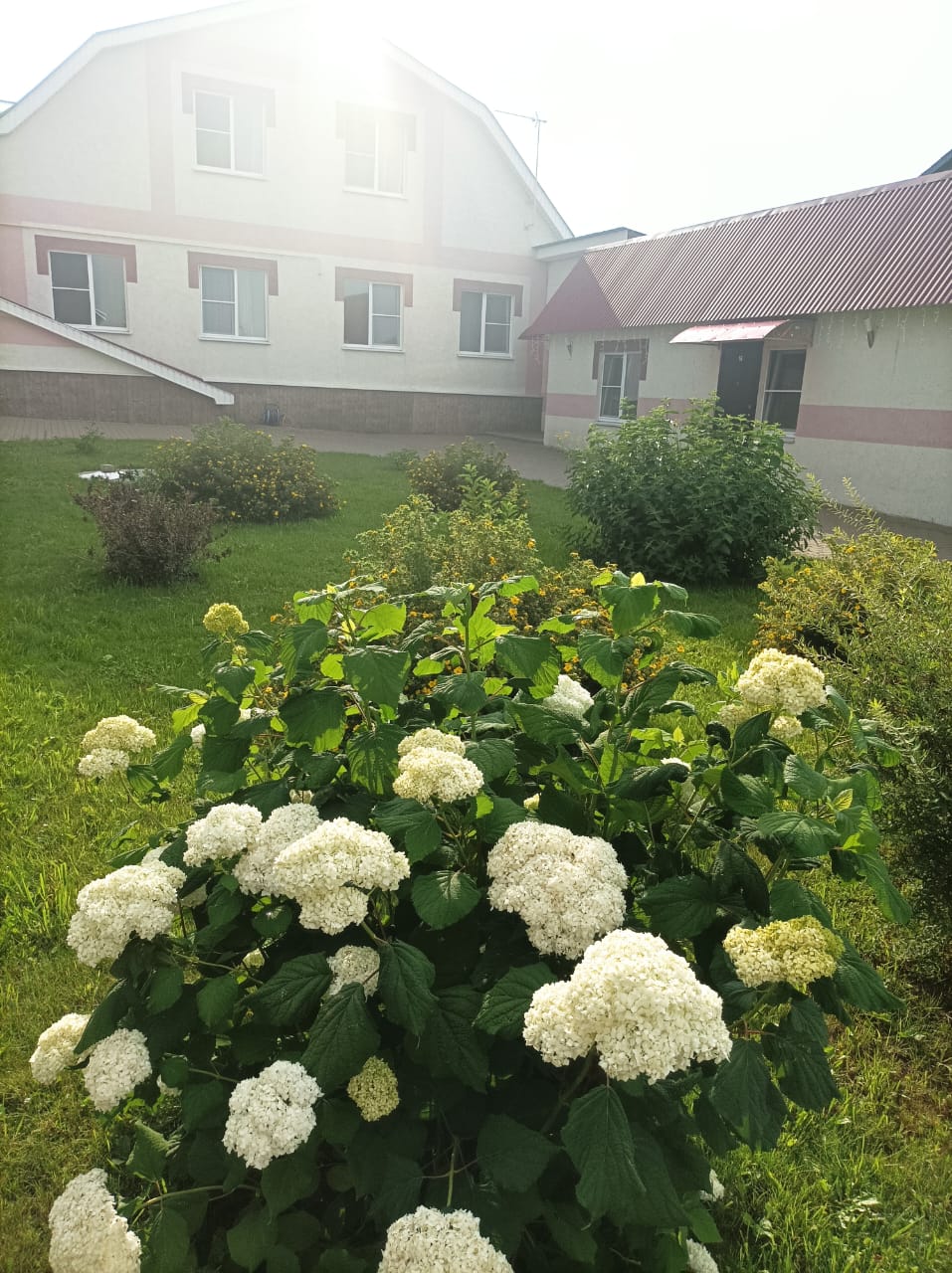 Фото отеля 3