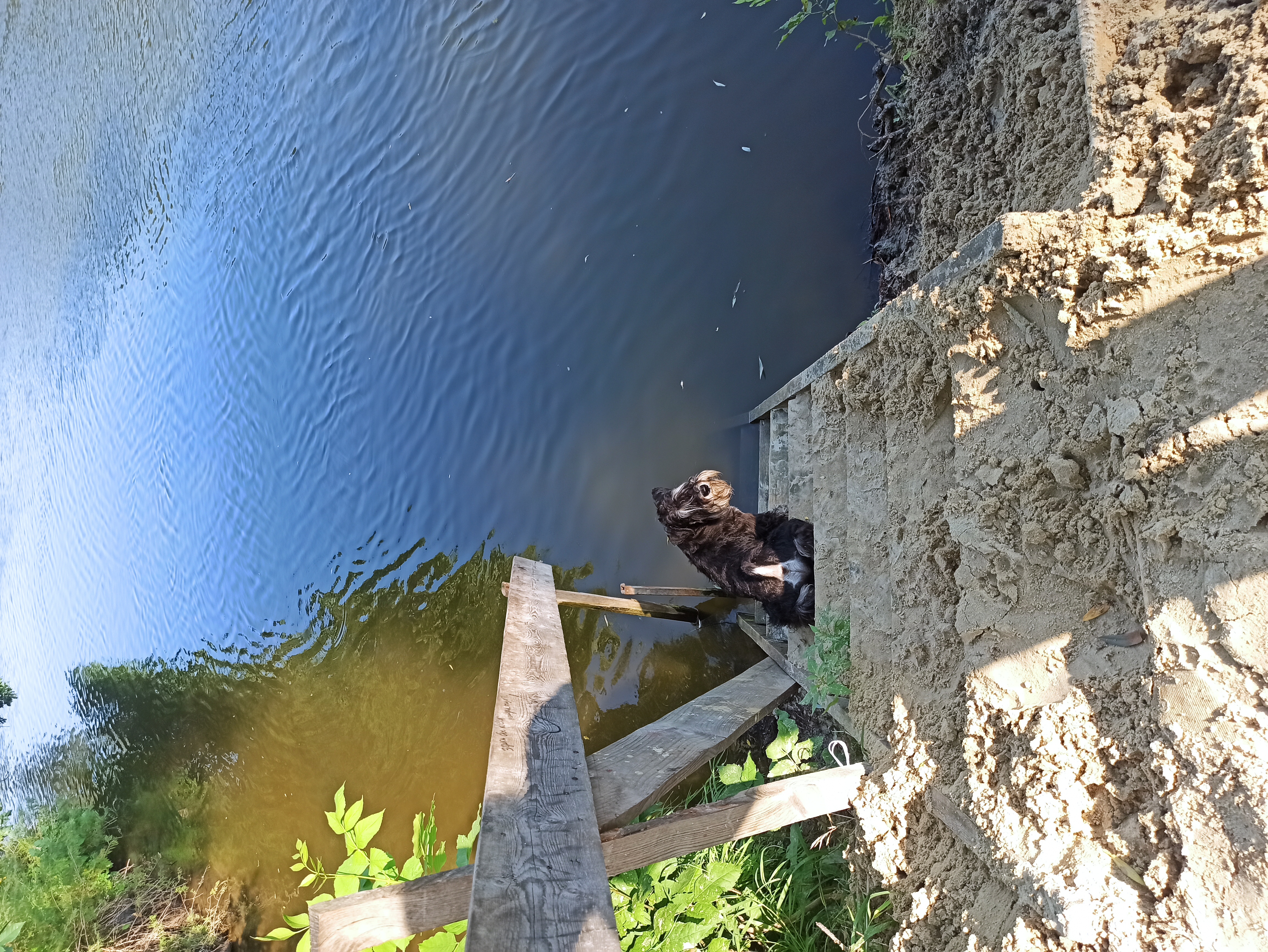 Фото Васькины Домики