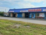 Avtoservis (Altayskaya ulitsa, 260), car service, auto repair
