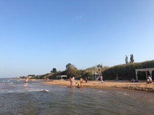 Ореховый рай