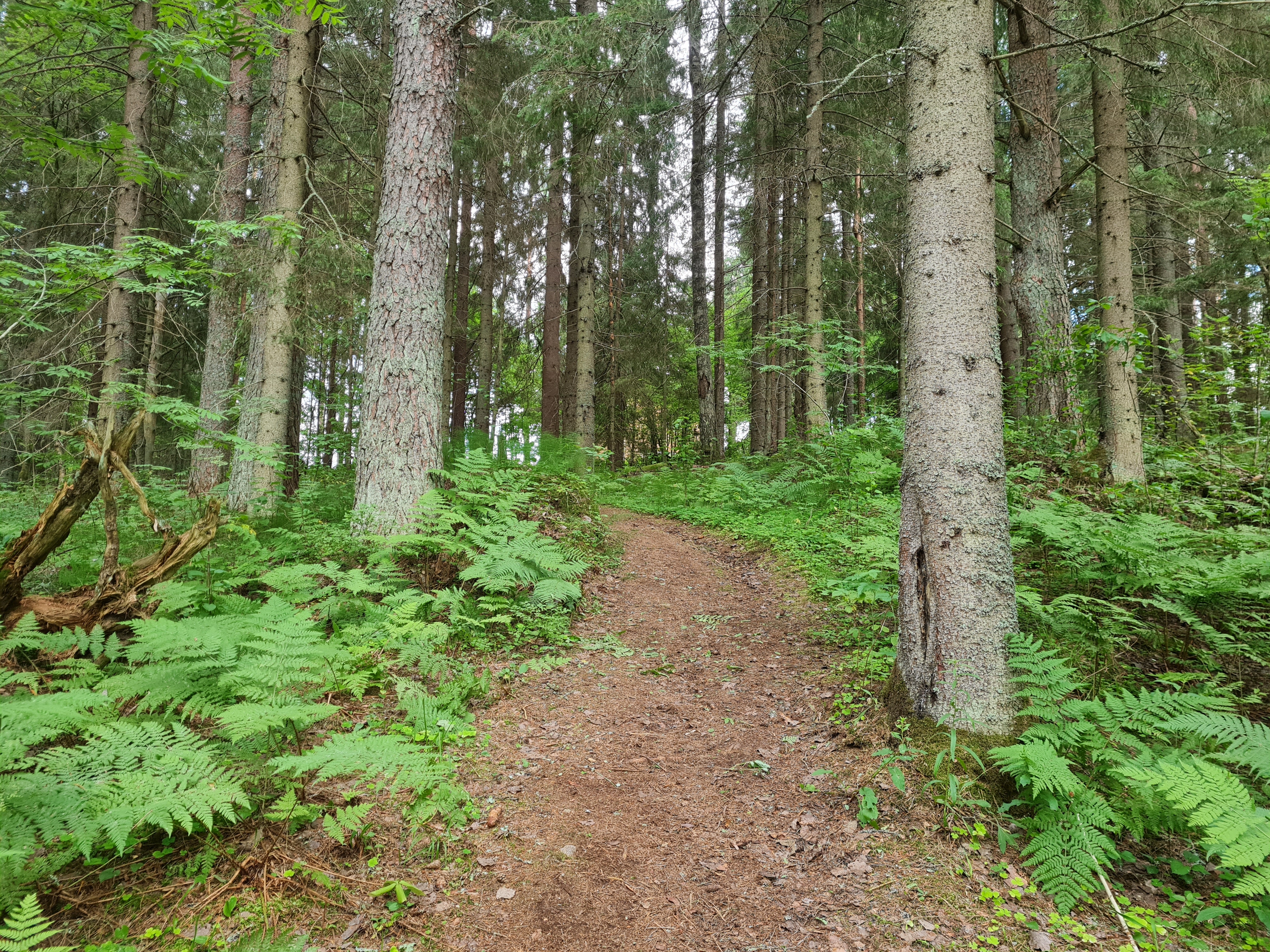 Фото Валдай Пространство мечты