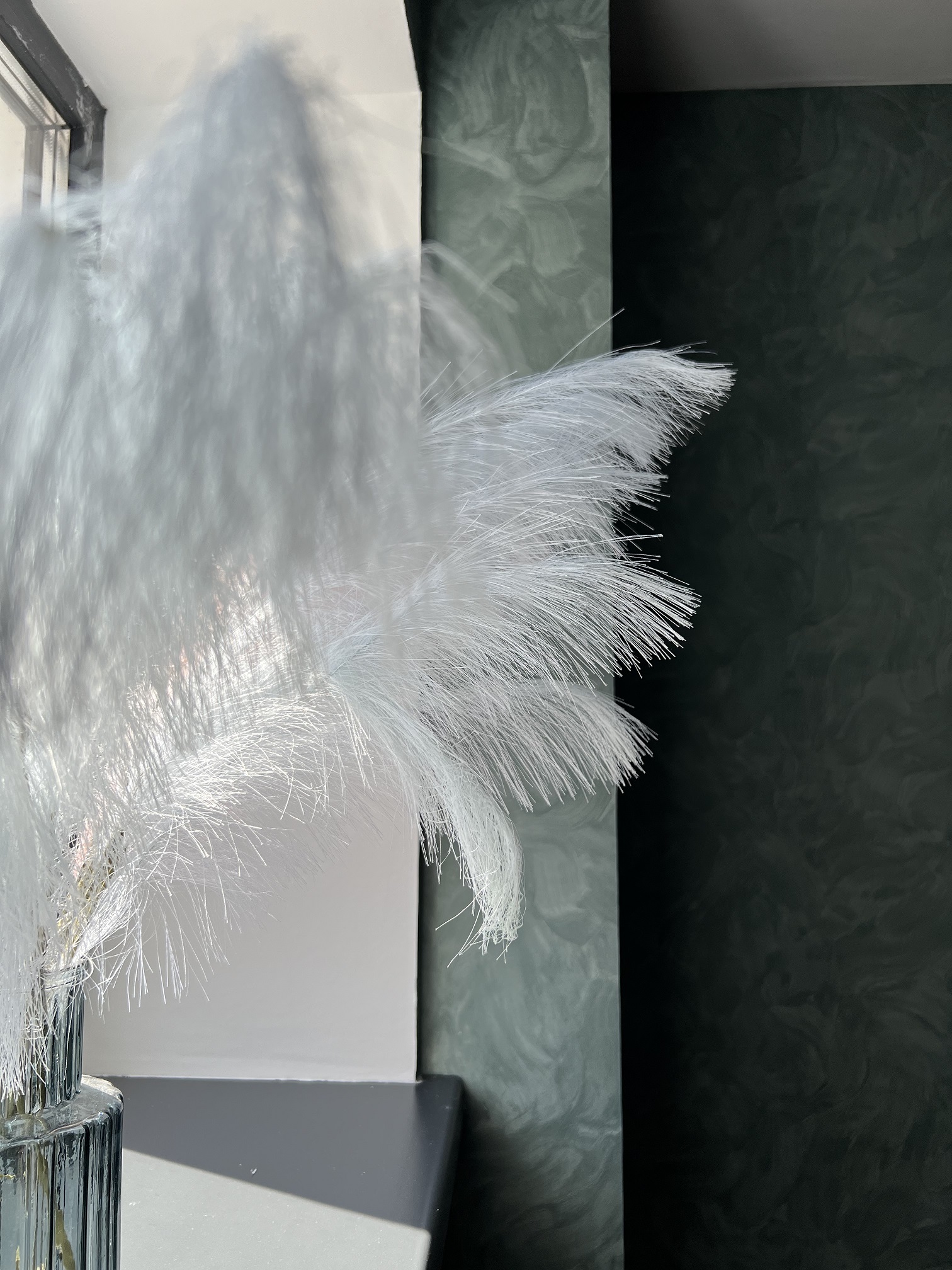 Фото Клевер