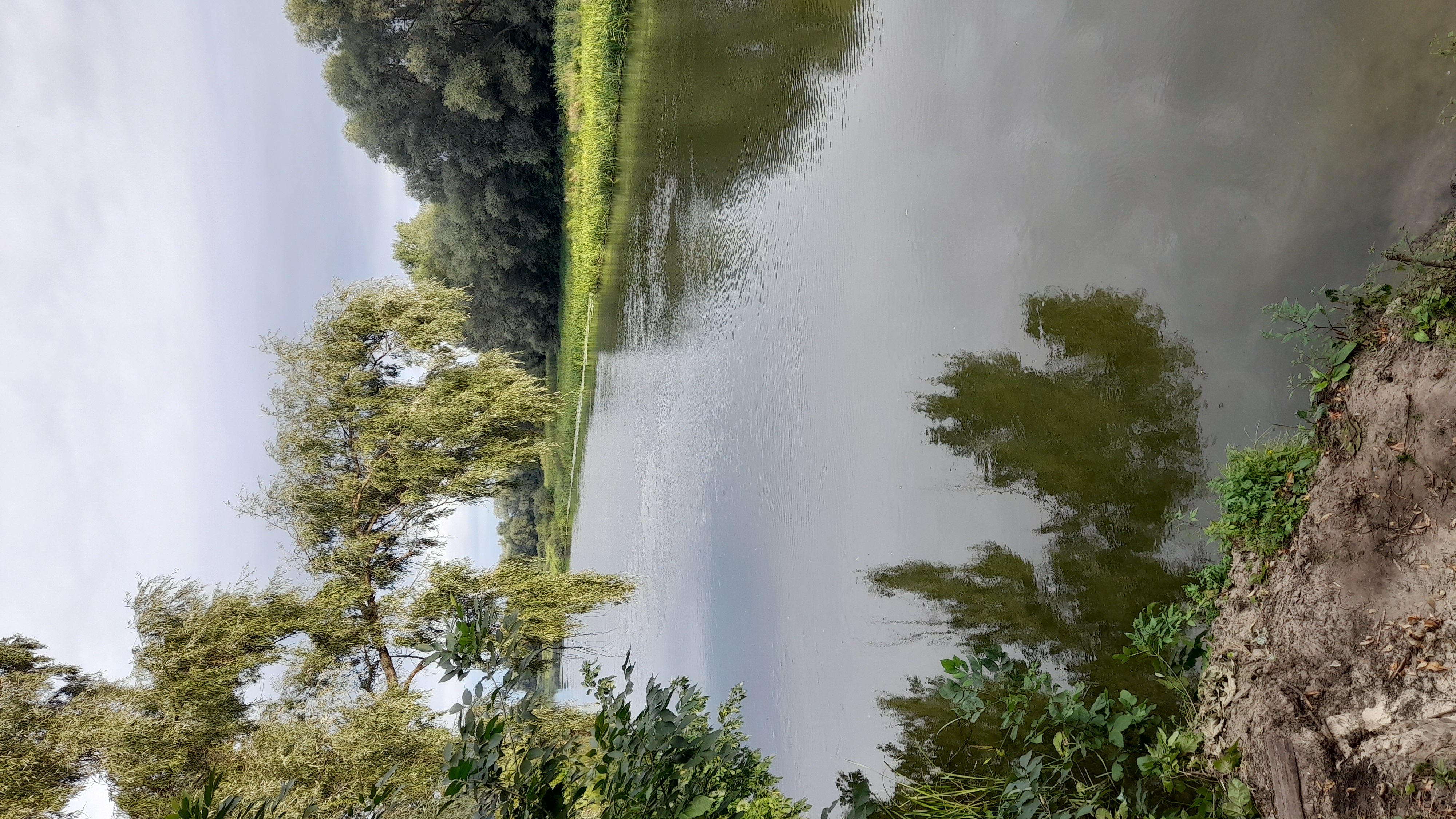 Фото Васькины Домики