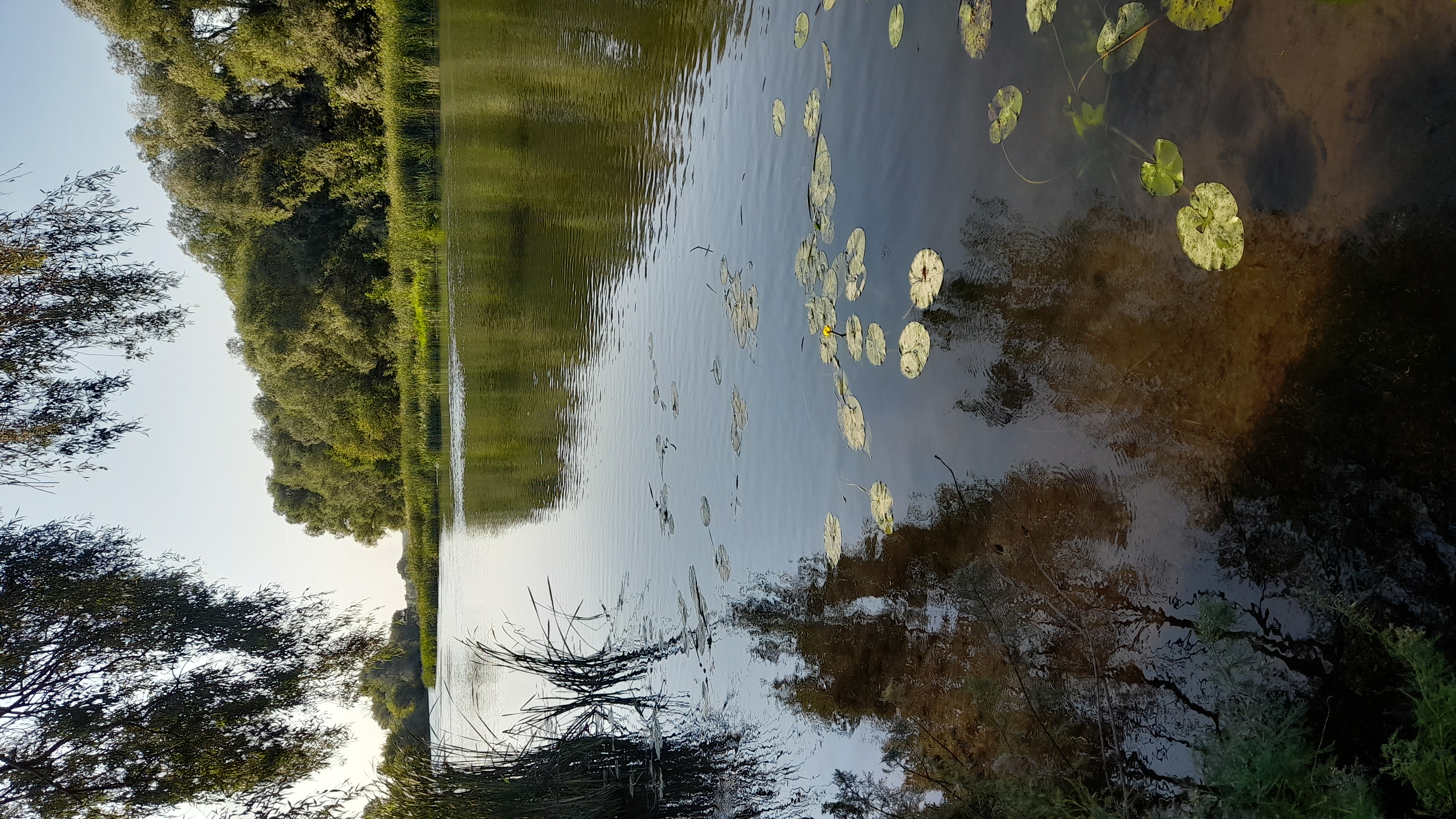 Фото Васькины Домики