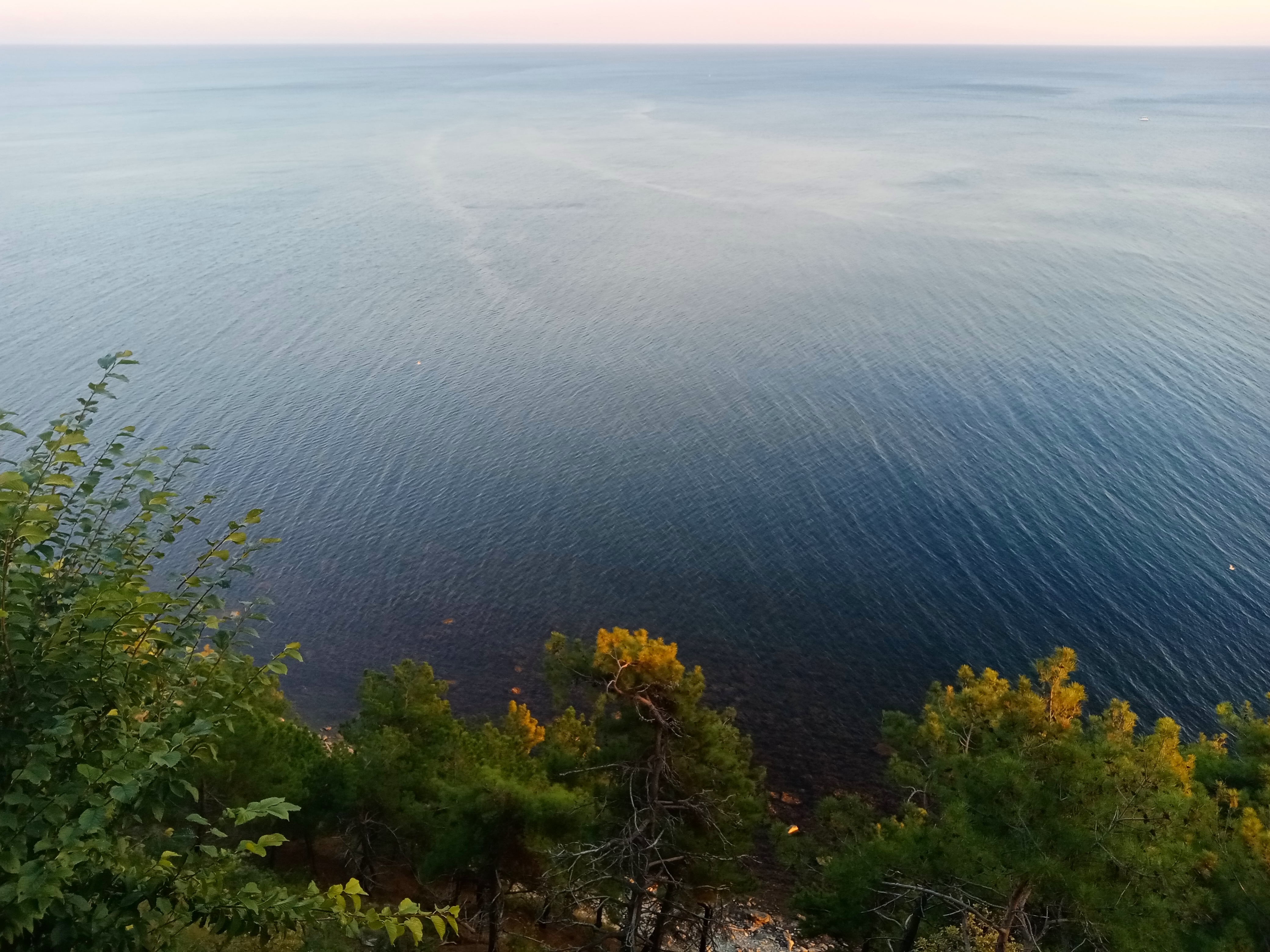 Фото Парк Инал