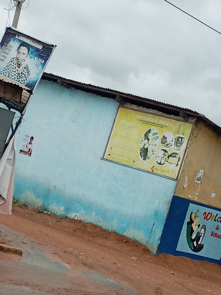 Agricultural enterprise Patchoco shops, Accra, photo