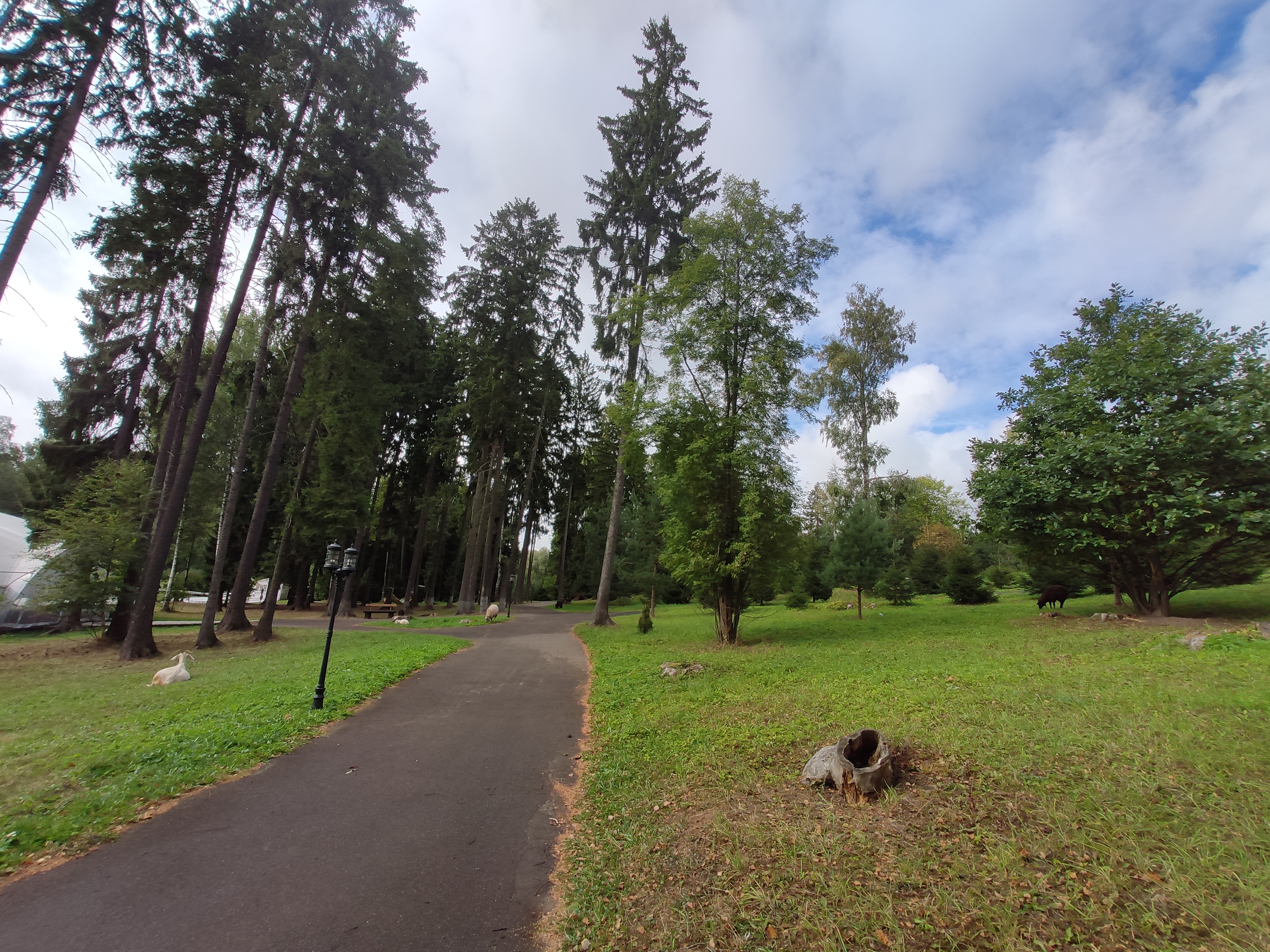 Фото Arthurs SPA Hotel by Mercure