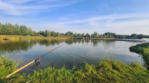 Официальный сайт озера Понти Гжель для рыбалки - информационный портал