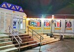 Pivnaya lavka (Neyvo-Alapayevskaya ulitsa, 45А/1) ، حانة، بار