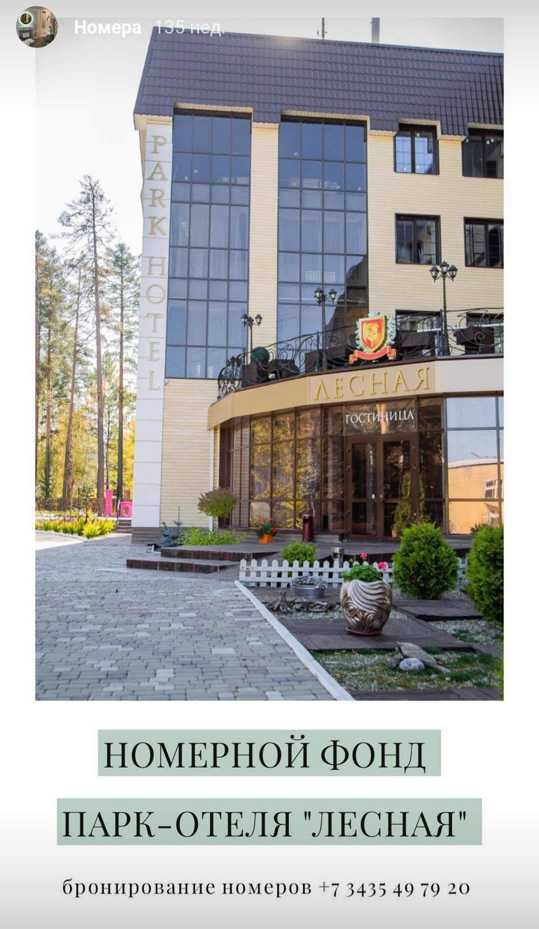 Фото Лесная