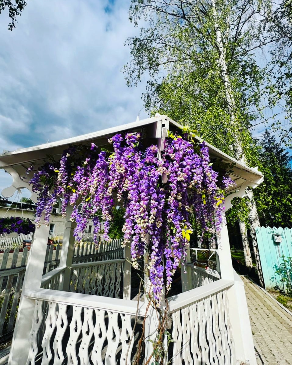 Фото Лесная