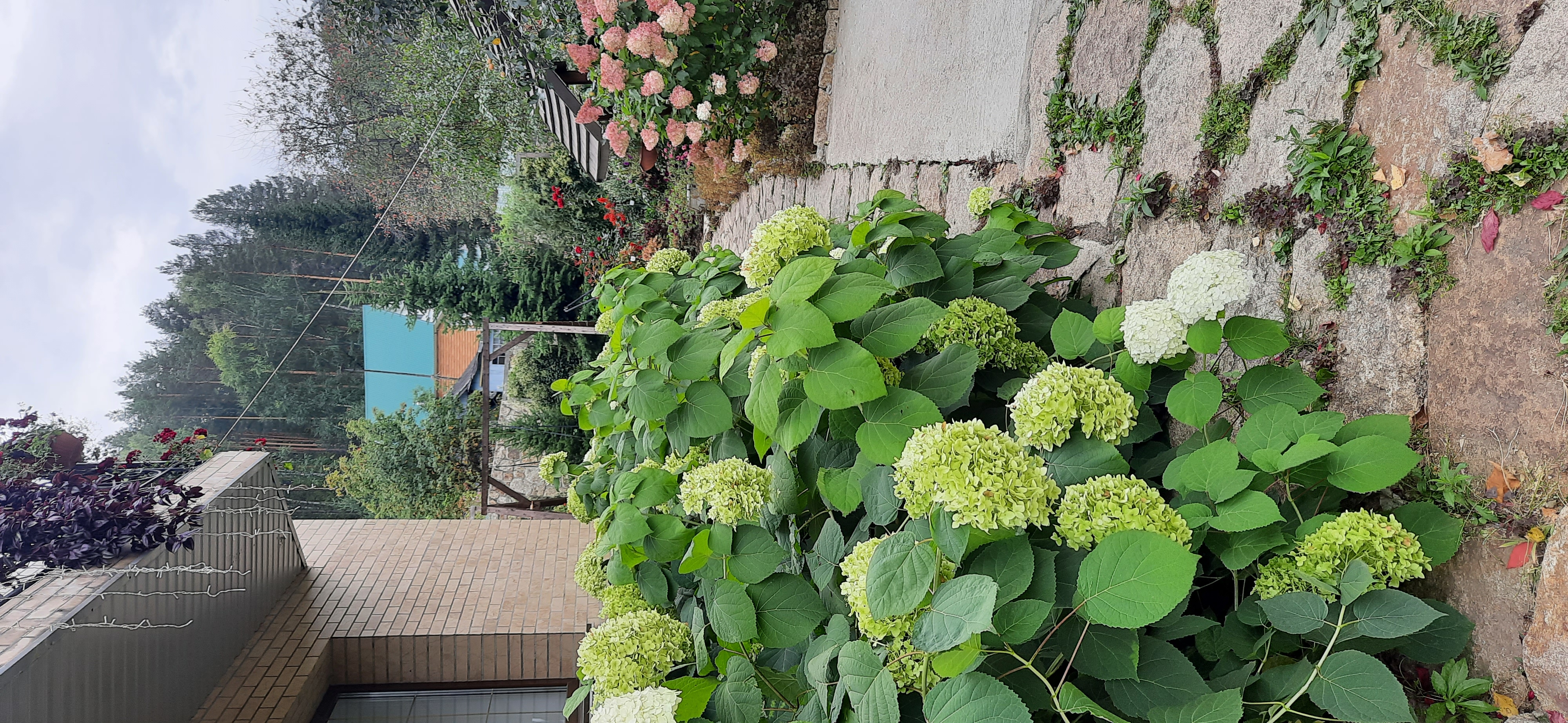 Фото Радевичи