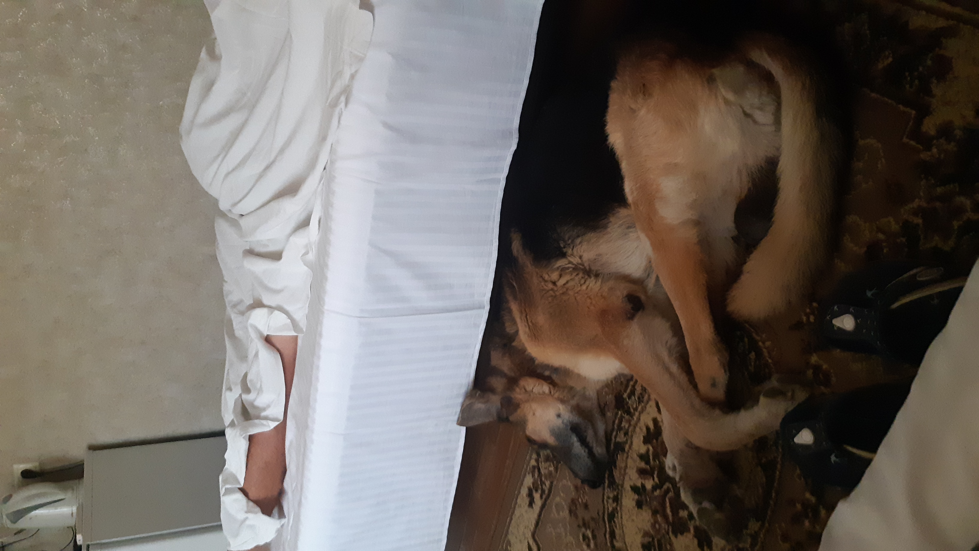 Фото Комфорт