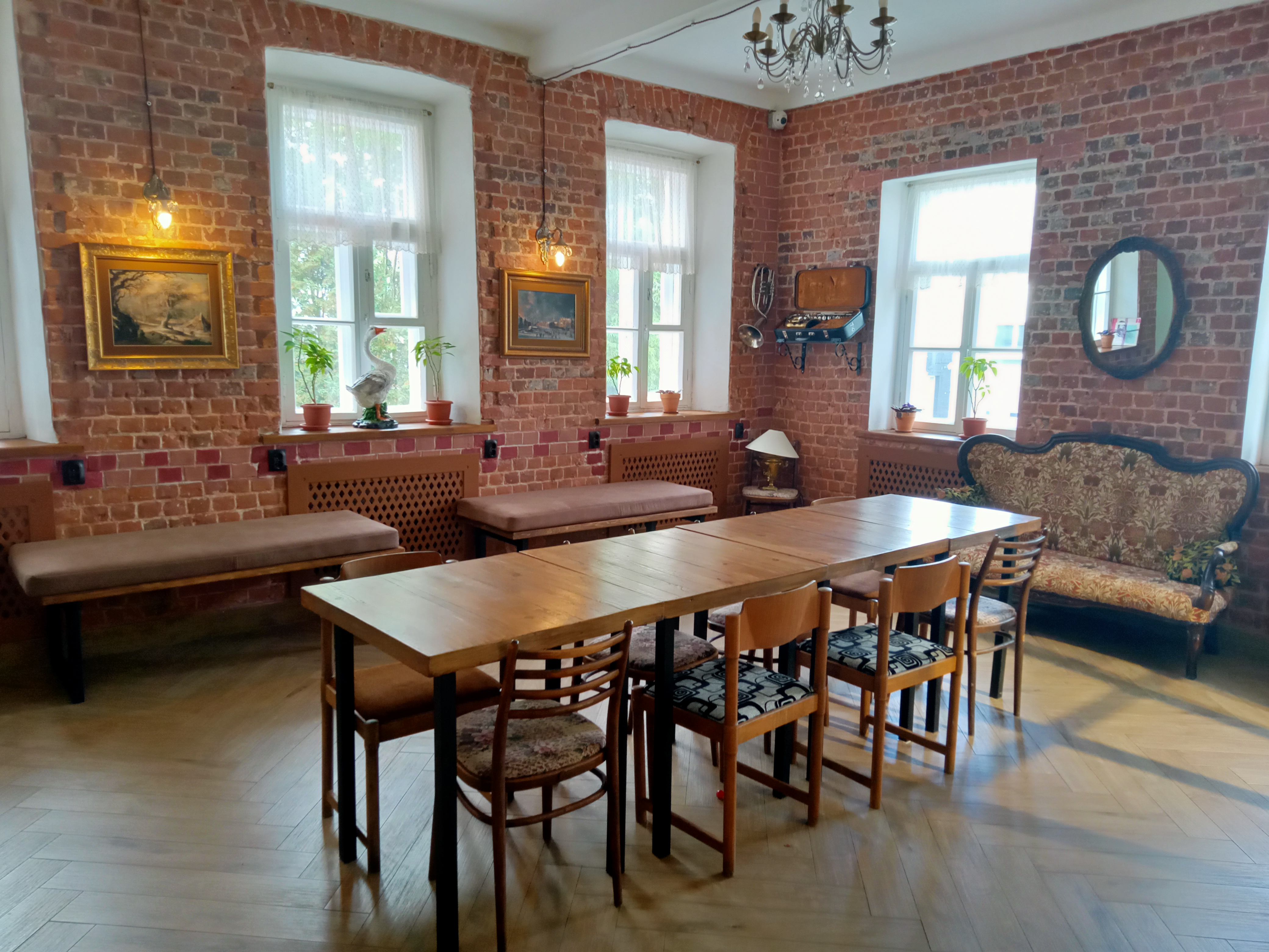 Фото Два гуся