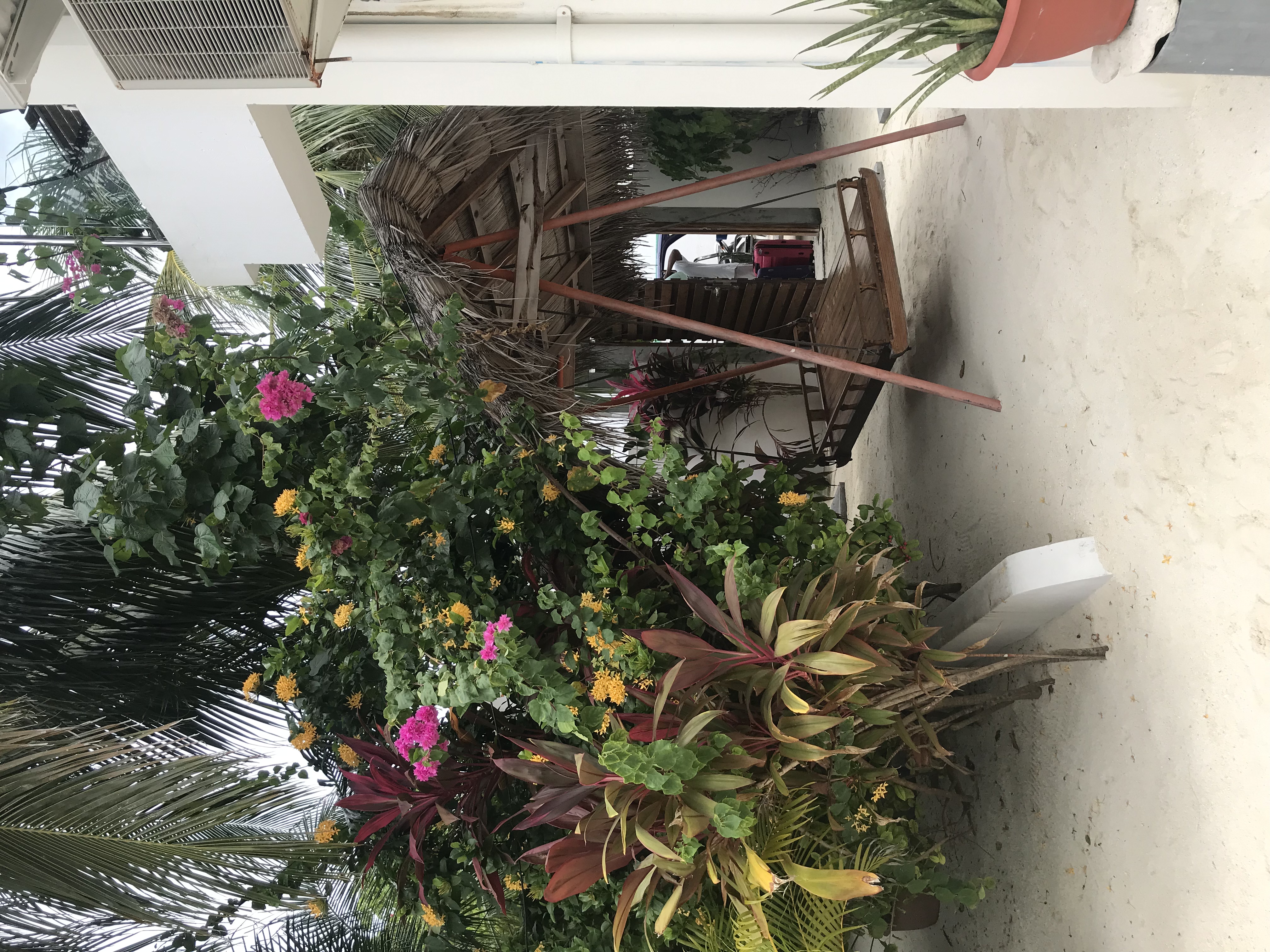 Фото Shallow Lagoon Rasdhoo