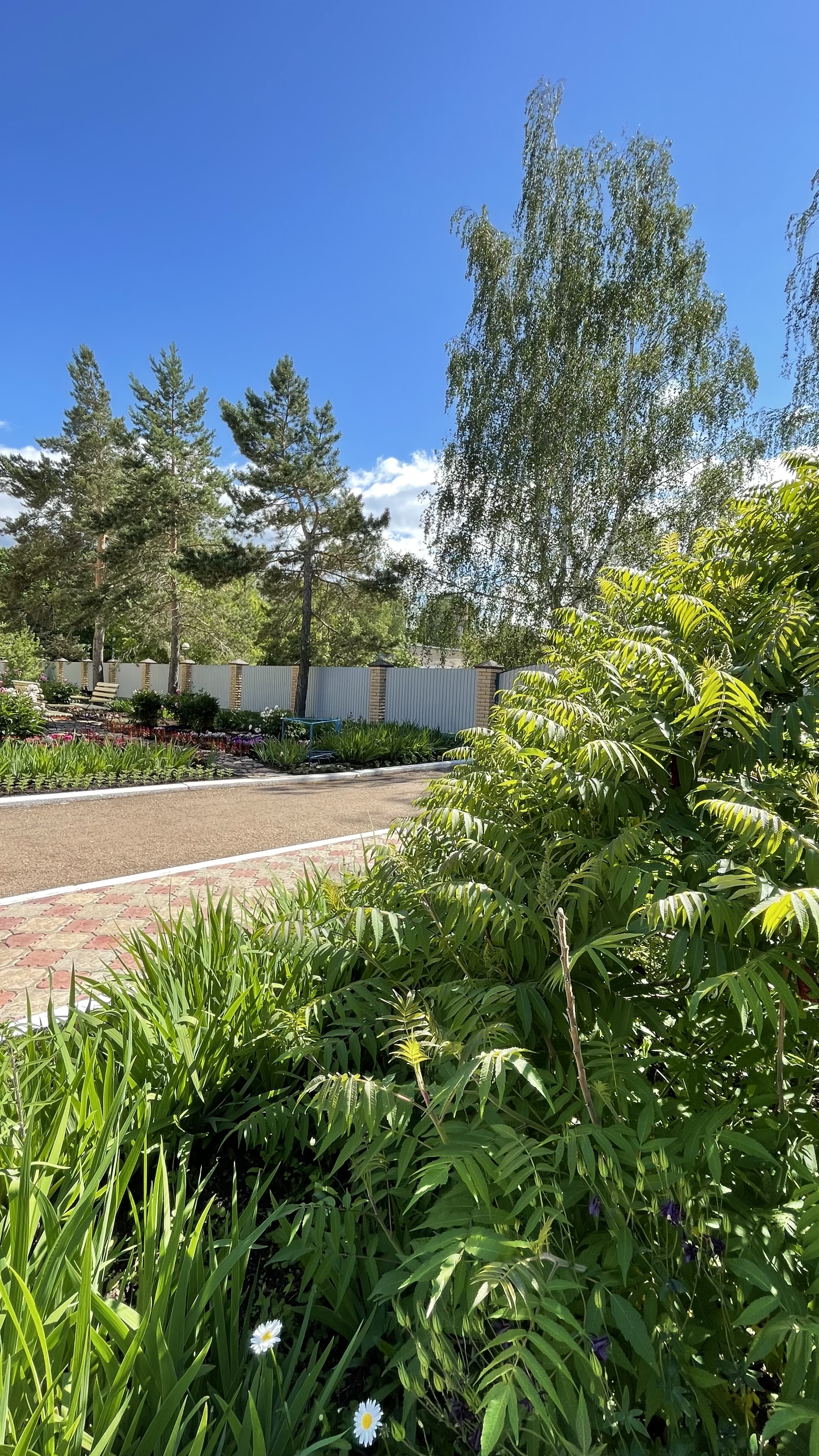 Фото Джалильский