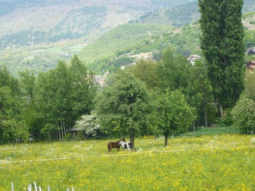Гостиница Le Nid De Saint Ours в Аосте