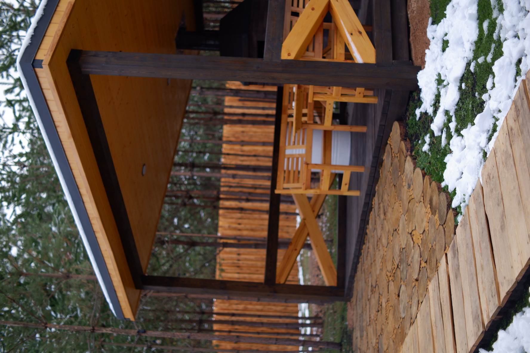 Фото Два Лося