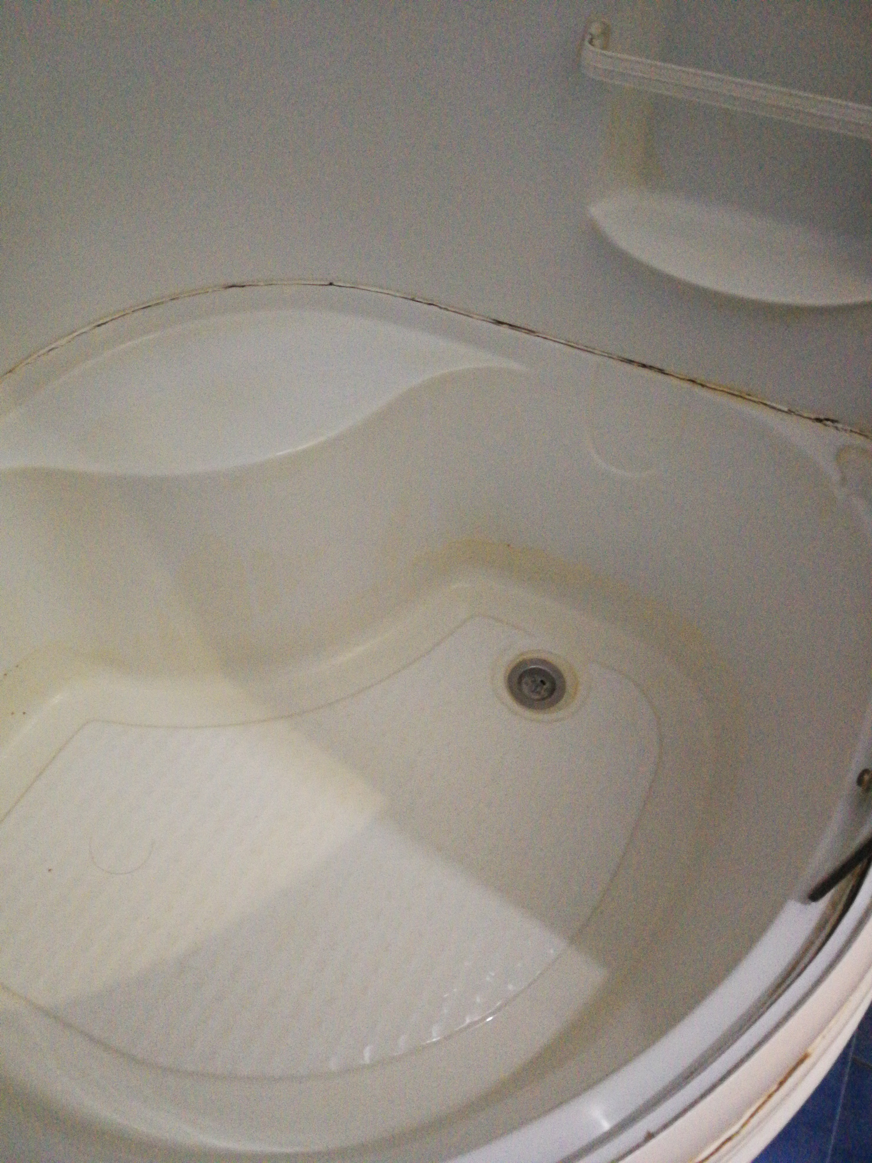 Фото Ковчег