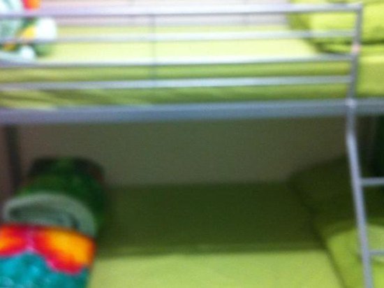 Фото The Entrance Backpackers - Hostel