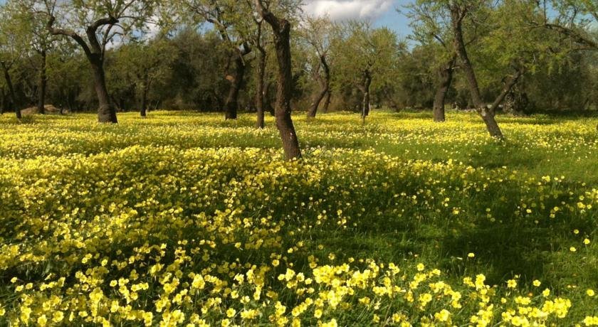 Фото Hotel La Corte del Sole