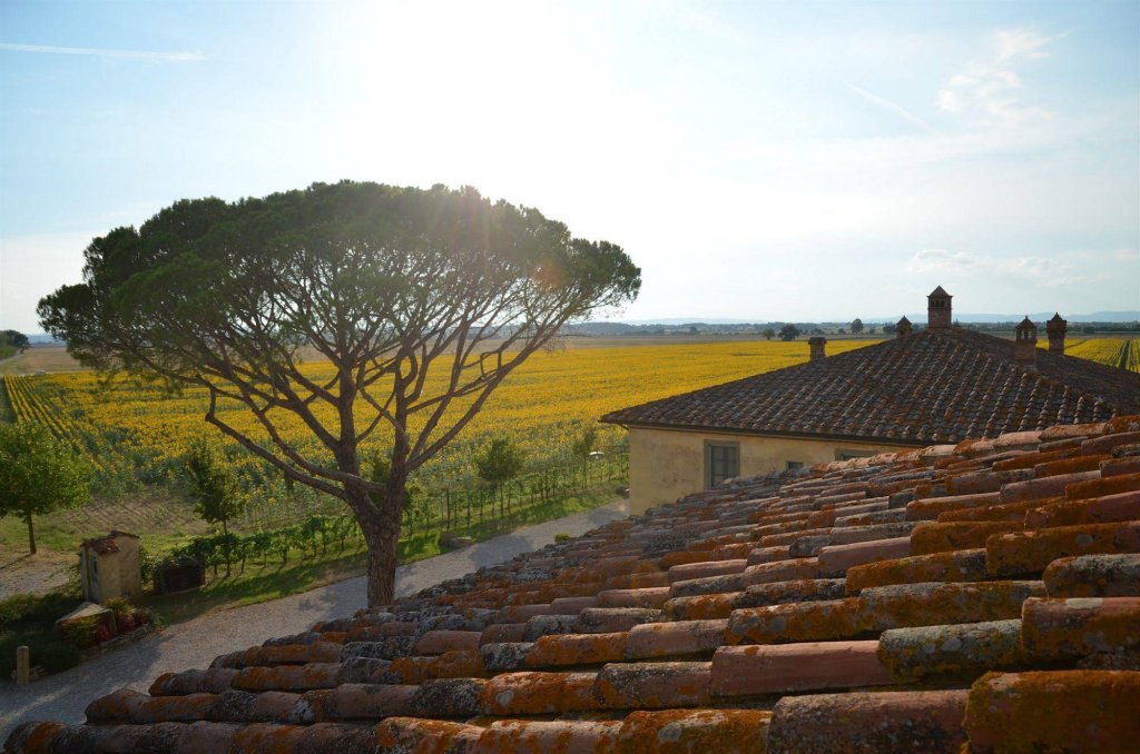 Фото Cortona Resort - Le Terre Dei Cavalieri