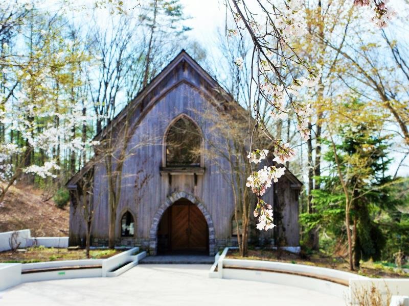 Фото Hotel Sierra Resort Hakuba