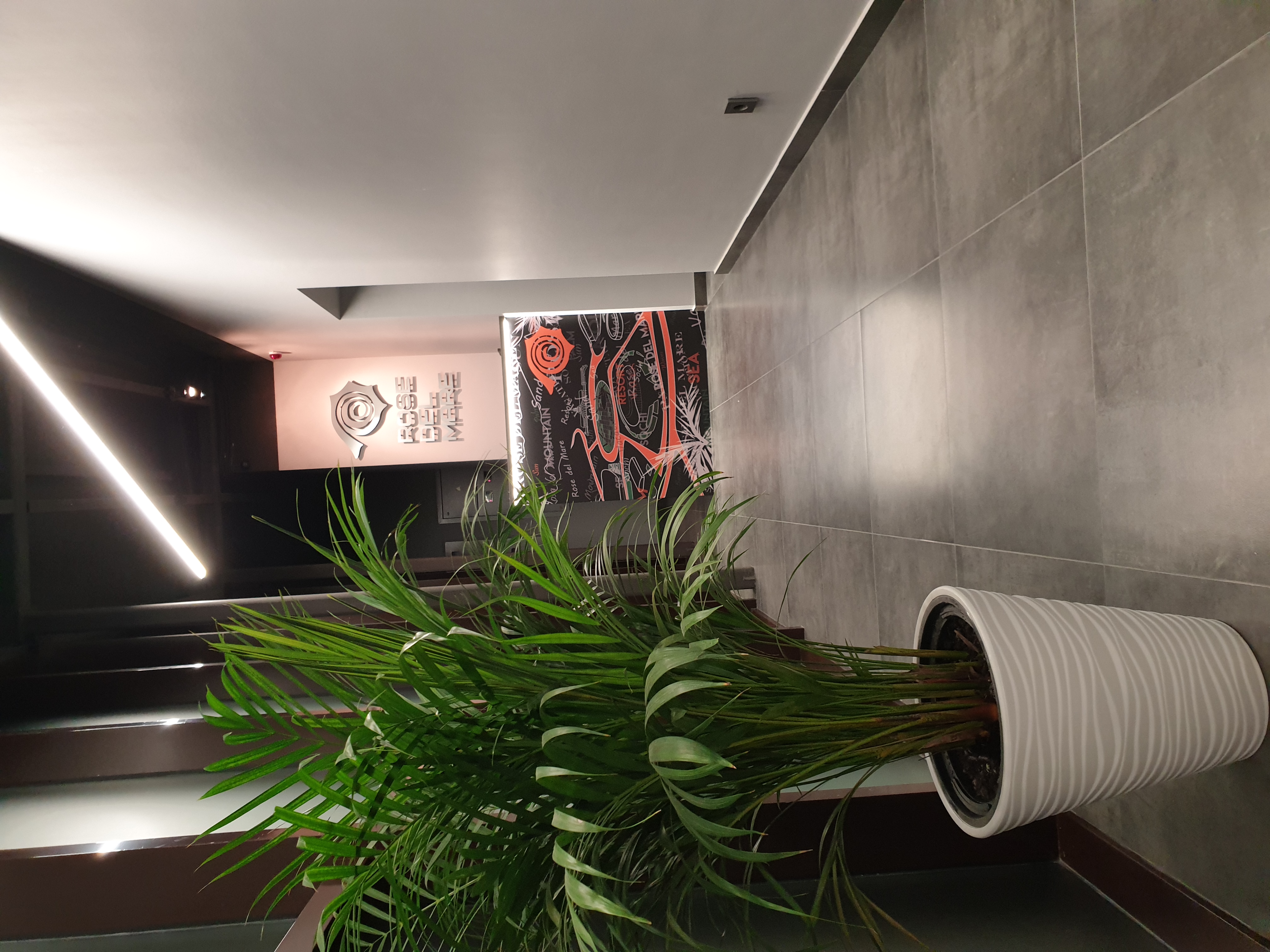 Фото Rose Del Mare