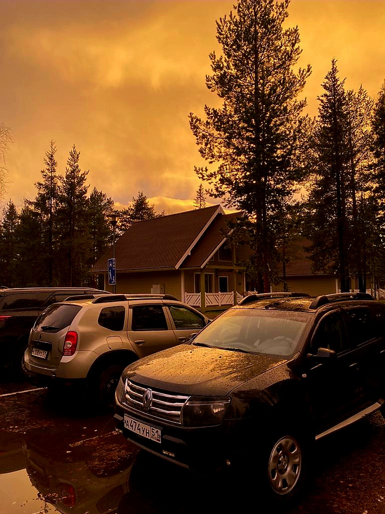 Фото Лесная