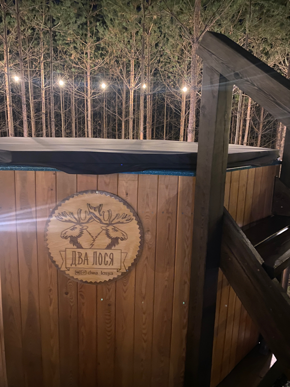 Фото Два Лося