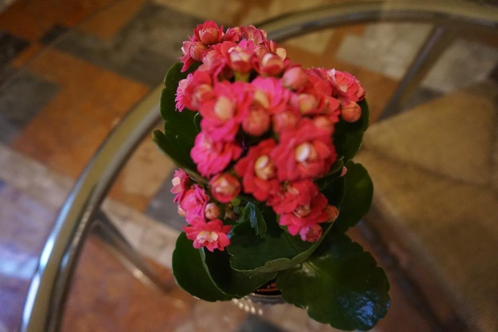 Фото Palazzo Mantua Benavides