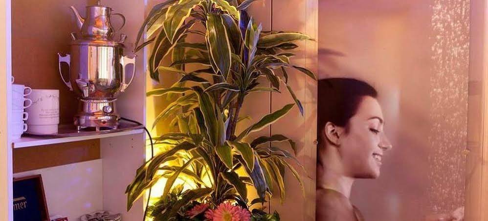 Фото Hotel Armonia
