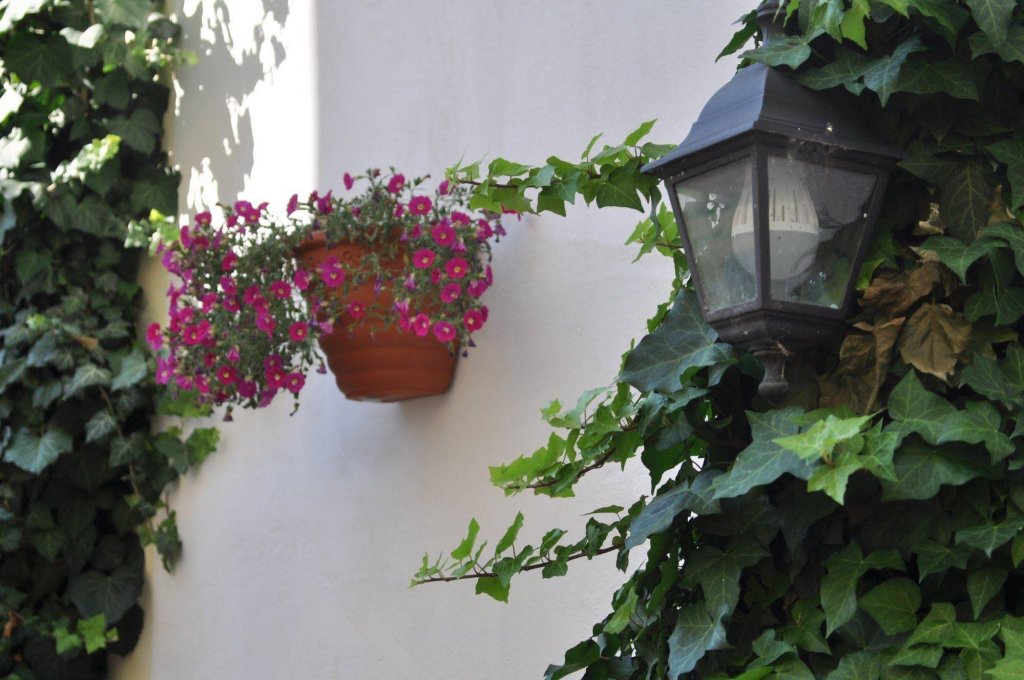 Фото Apartment Residence