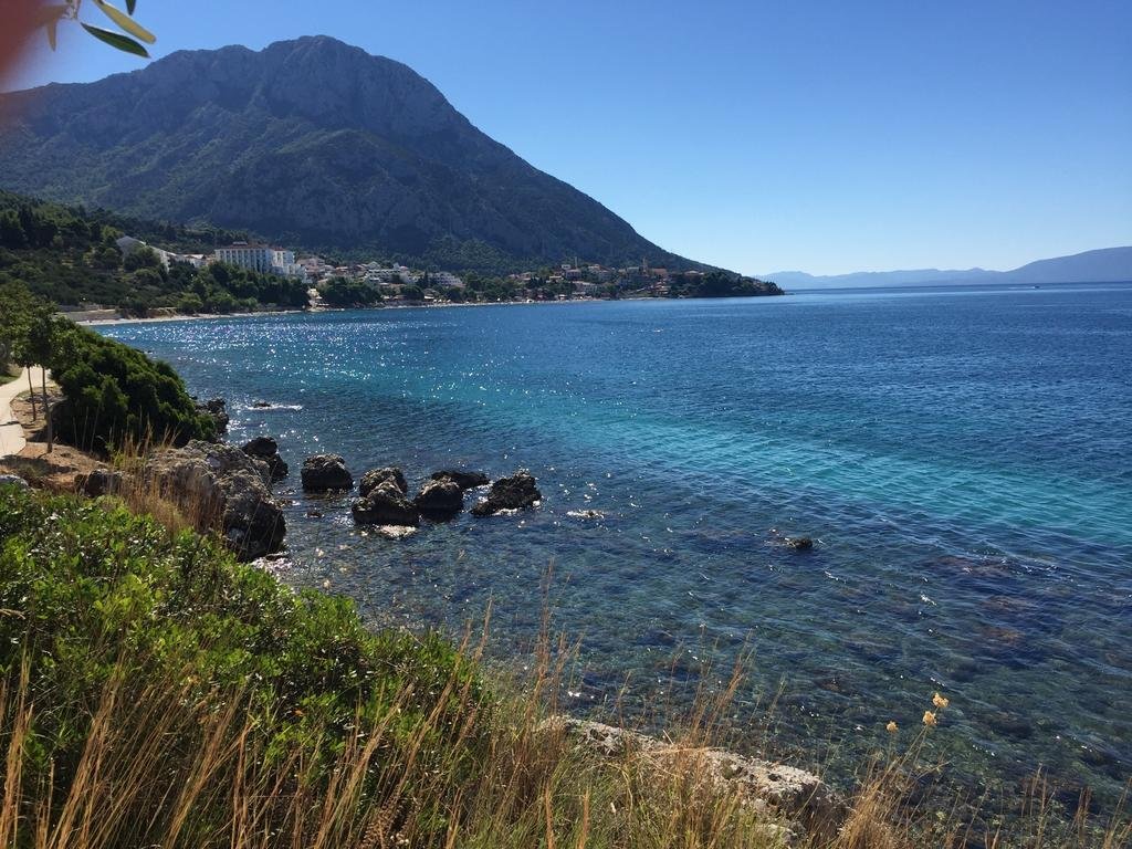 Фото Villa Elvira