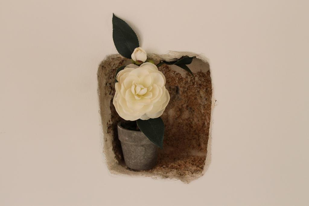 Фото B&b Nino Moro